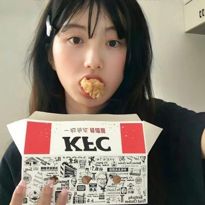 一日偶像署长的事件簿
